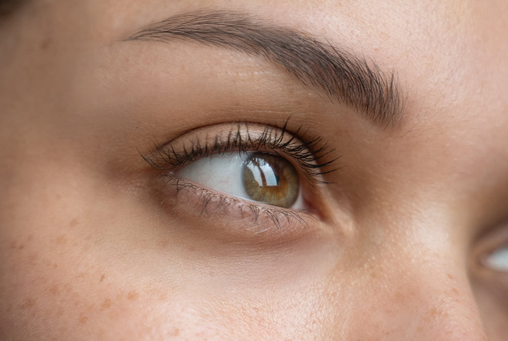 Understanding the Skin: The Structures & Functions of the Skin