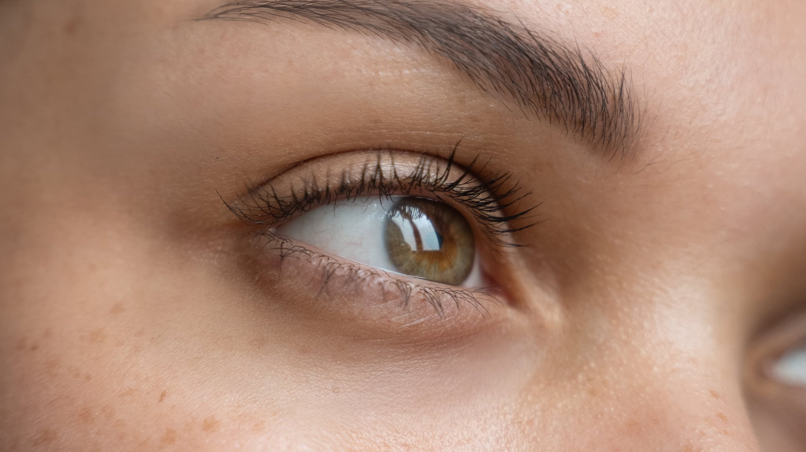 Understanding the Skin: The Structures & Functions of the Skin