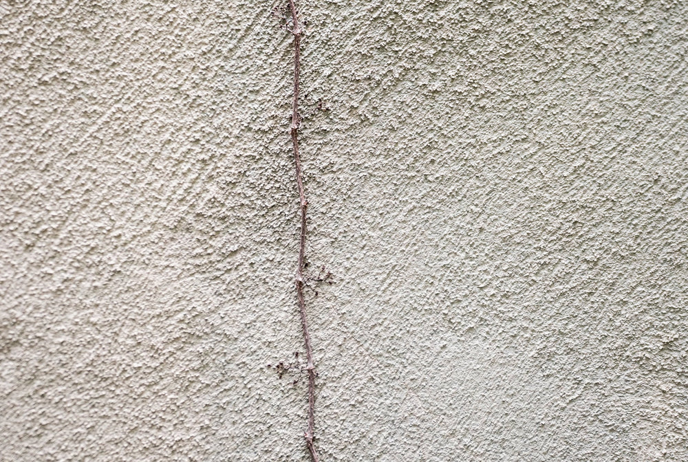 Rooted in Intention: Why Made in Japan Matters to MOSAIK