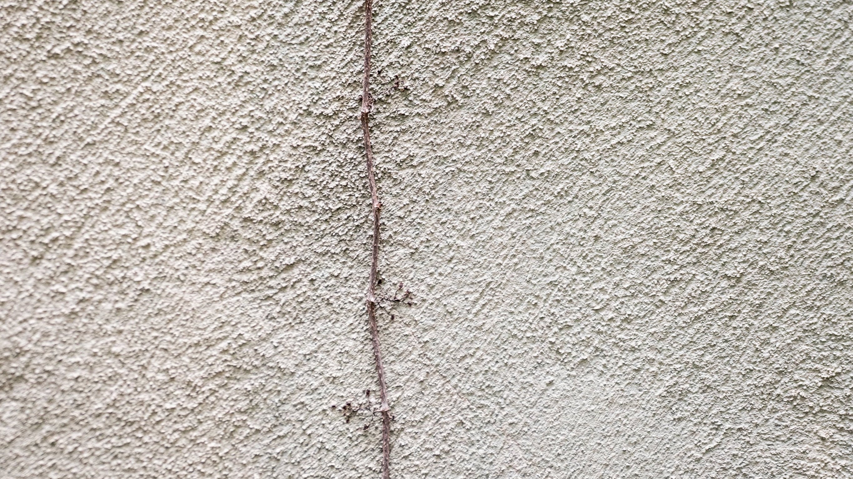 Rooted in Intention: Why Made in Japan Matters to MOSAIK