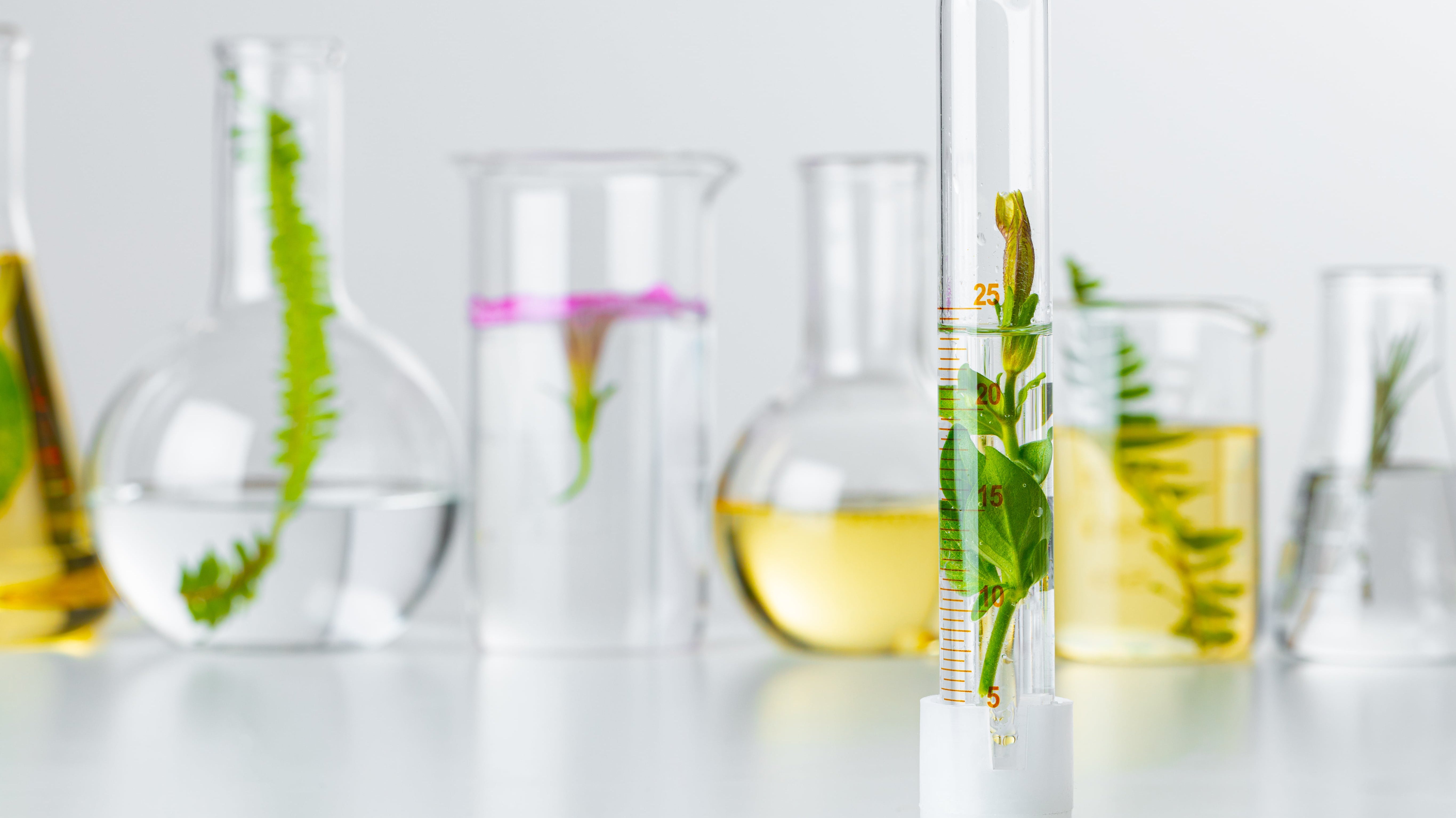 Innovations in Skincare Technology: Where Tradition Meets Science