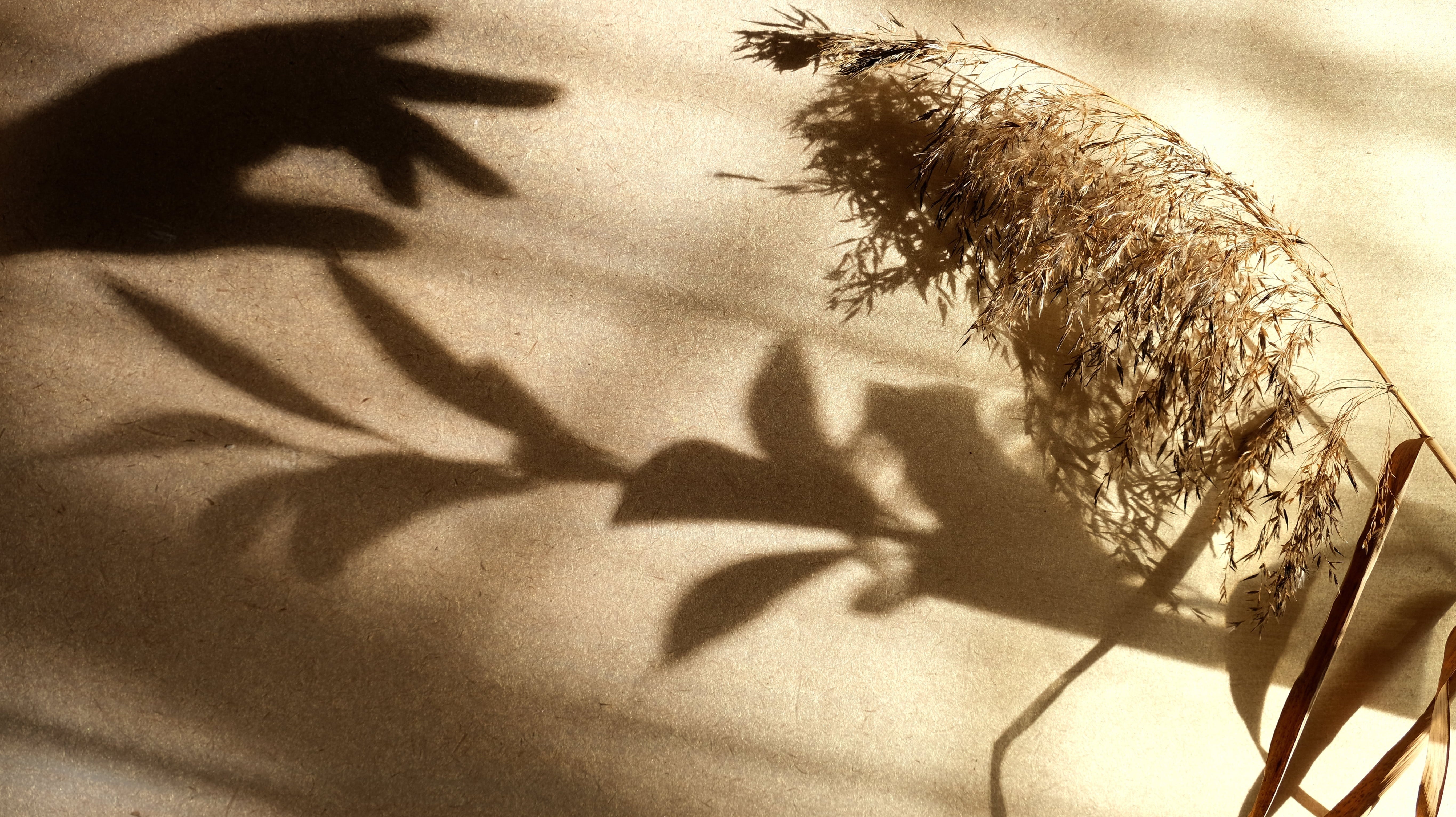 Minimalist Skincare with High-Performance Ingredients: The Japanese Approach