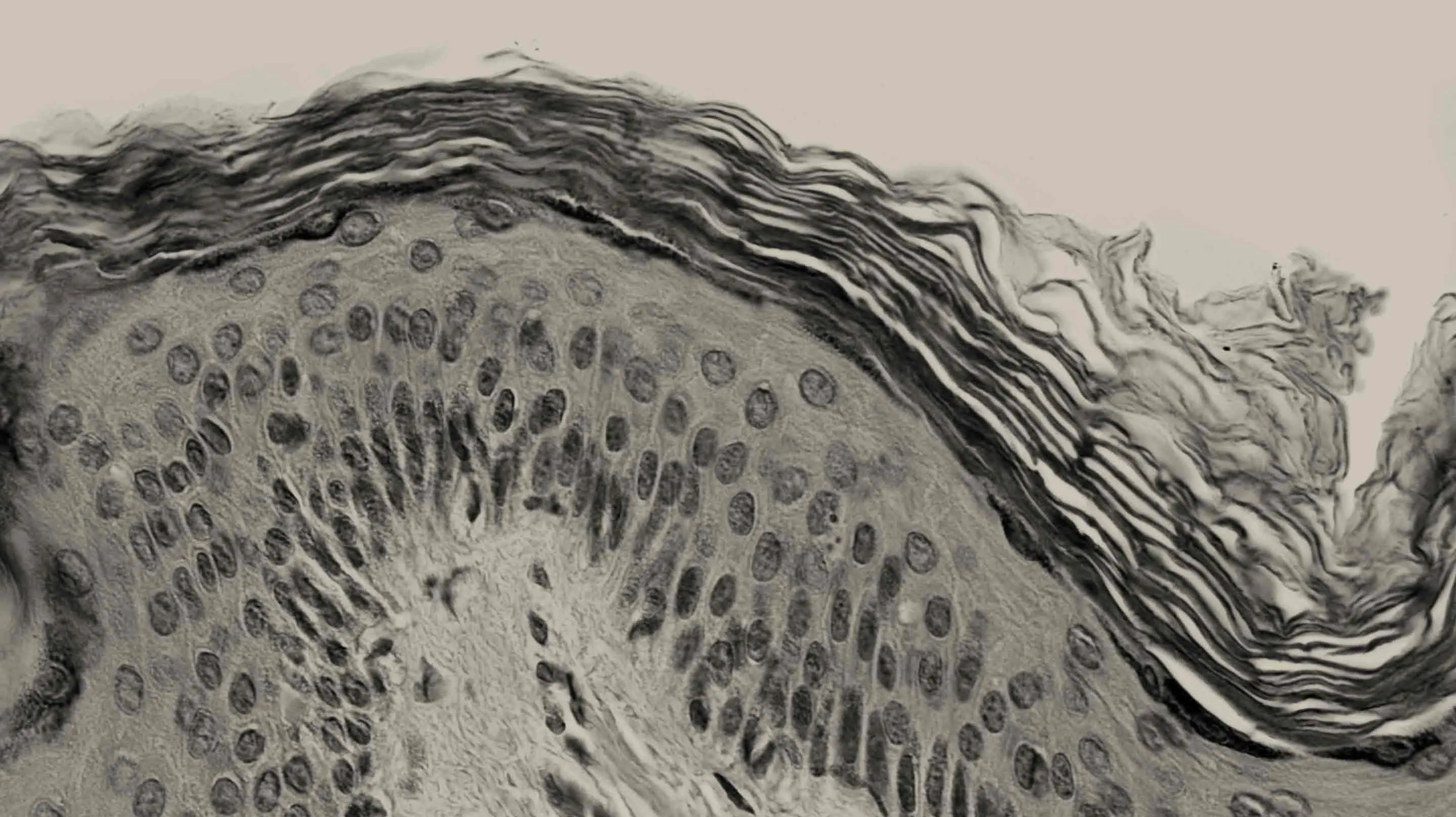 Glowing Skin Might Start With Your Genes: Your DNA plays a key role, but there are still many things you can do for your skin!