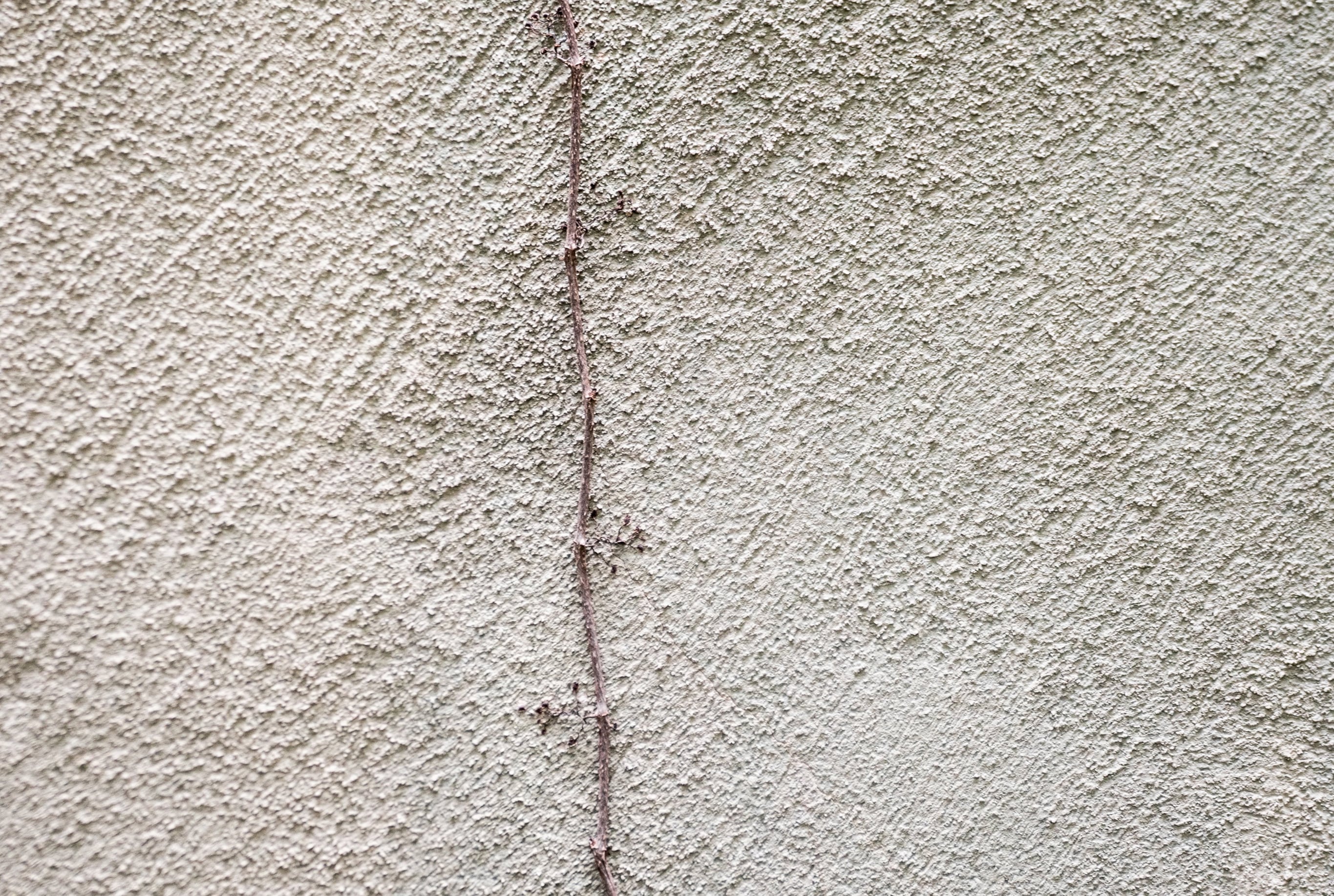 Rooted in Intention: Why Made in Japan Matters to MOSAIK
