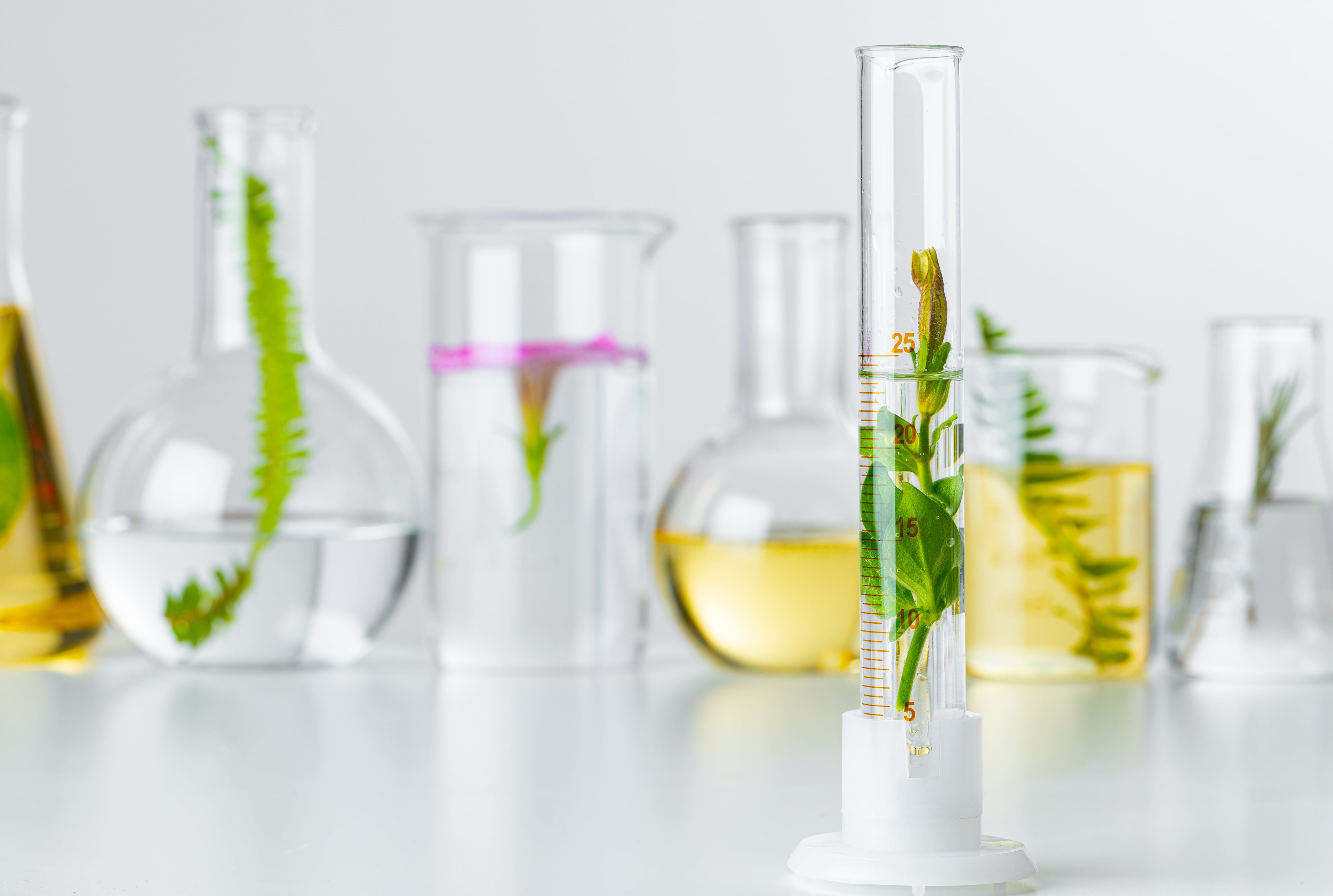 Innovations in Skincare Technology: Where Tradition Meets Science – MOSAIK SKIN