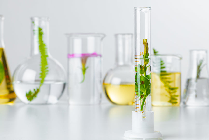 Innovations in Skincare Technology: Where Tradition Meets Science