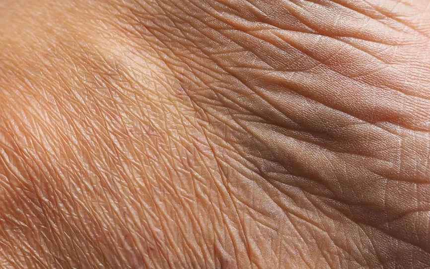 Regard sur la dermatologie - Entretien avec le Dr R.J. Schemmer